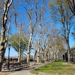 Sunset Park