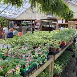Dammann's Garden Company - Greenhouse