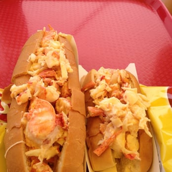 Thurston's Lobster Pound - Jumbo and regular lobster rolls side-by-side. Lobster meat is lightly tossed in mayo. "Regular" is on a hot-dog-sized bun. - Seafood Near Me - Bernard, Maine