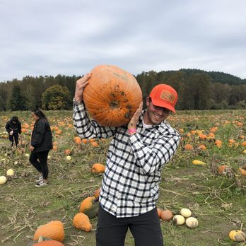 Bob's Corn & Pumpkin Farm - We always try to get the biggest one! - Pumpkin Patches Near Me - Snohomish, Washington