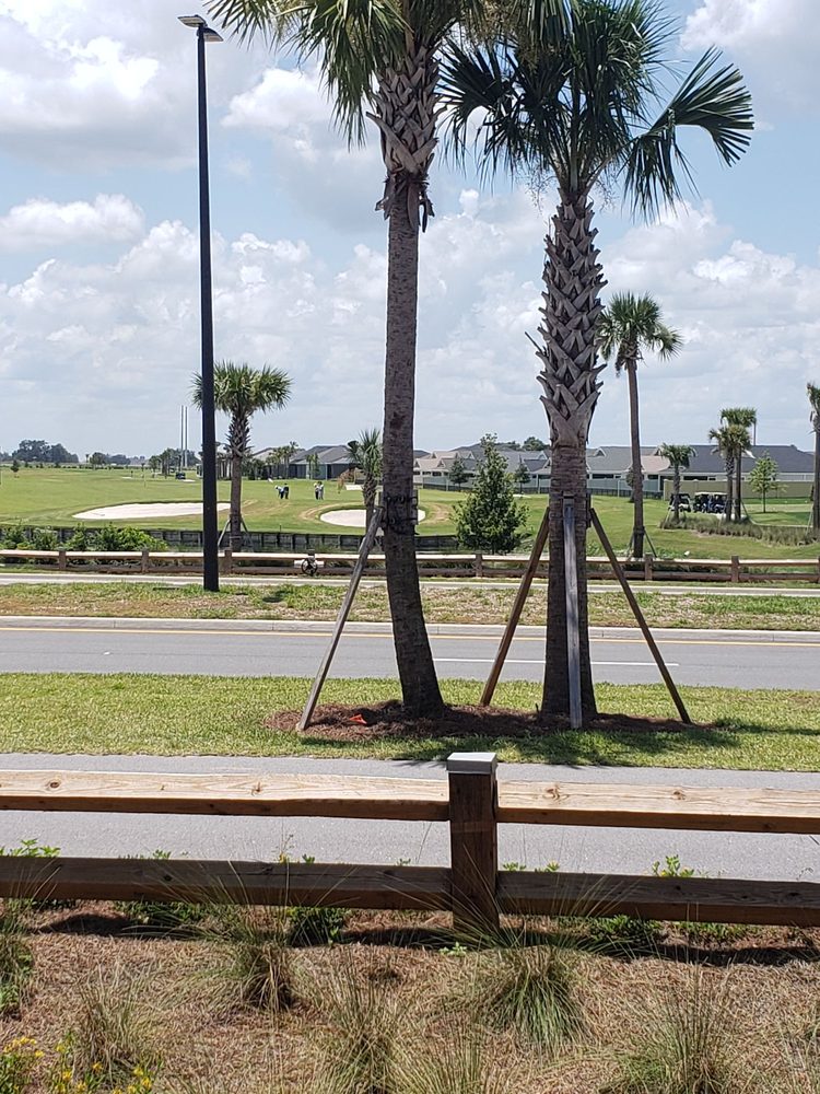 MCGRADY’S PUB 31 Photos & 24 Reviews 810 Marilee Pl, The Villages