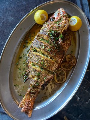 Olympia Cafe by null