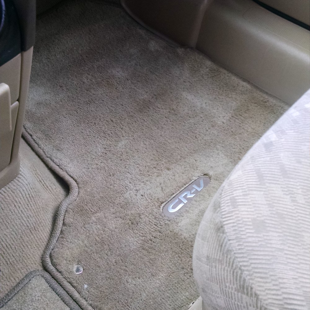 Ziebart - No sign of dirty passengers - Auto Detailing Near Me - Rochester, New York Ziebart - No sign of dirty passengers - Auto Detailing Near Me - Rochester, New York