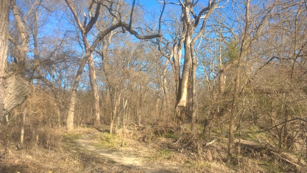 Spring Creek Forest Preserve by null