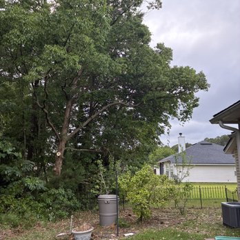Saint Fiacre Tree Service - Tree Services Near Me - Atlantic Beach, Florida Saint Fiacre Tree Service - Tree Services Near Me - Atlantic Beach, Florida