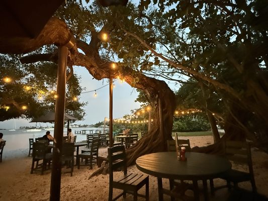 Mar Vista Dockside Restaurant & Pub by null