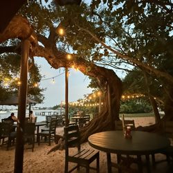 Mar Vista Dockside Restaurant & Pub - Main seating area under the lights!
