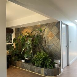 Blue Turtle Dental - Redwood City