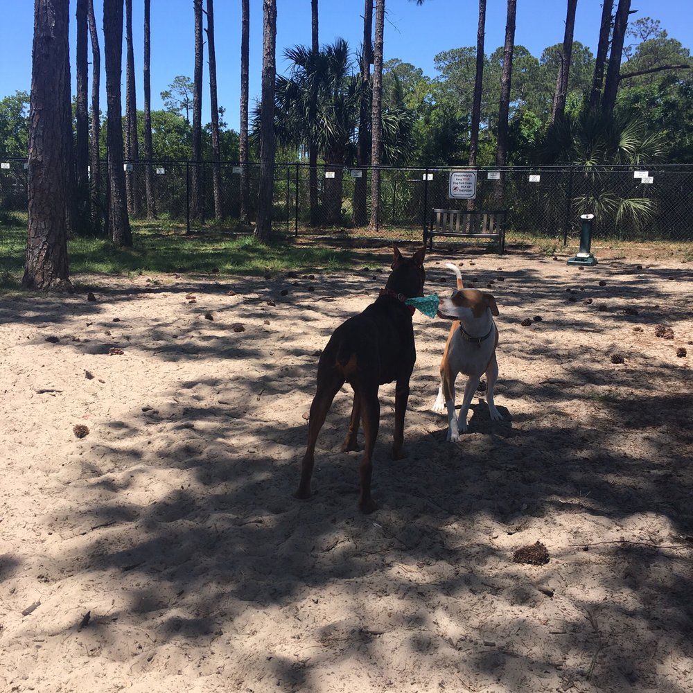 This park was 10 times better than the one in Destin! There was a beach behind the dog park where many dogs were running in the water. This park was 10 times better than the one in Destin! There was a beach behind the dog park where many dogs were running in the water.