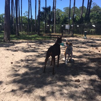 Liza Jackson Park - This park was 10 times better than the one in Destin! There was a beach behind the dog park where many dogs were running in the water. - Playgrounds Near Me - Fort Walton Beach, Florida Liza Jackson Park - This park was 10 times better than the one in Destin! There was a beach behind the dog park where many dogs were running in the water. - Playgrounds Near Me - Fort Walton Beach, Florida