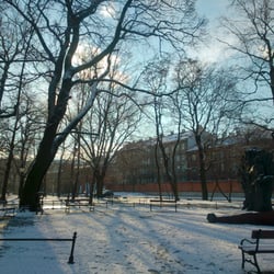 Park Strzelecki