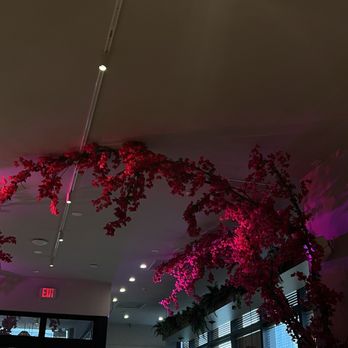 Cafe Americano - Decor - Breakfast & Brunch Near Me - Miami, Florida