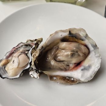 Elite All Star Dinner: Blue Anchor - East and west coast oysters - Yelp Events Near Me - Jersey City, New Jersey