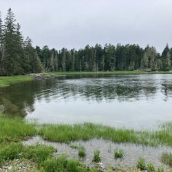 Acadia Paddle