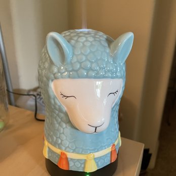 Good Common Sense Naturals - Cute llama diffuser I purchased from GCS - Cosmetics & Beauty Supply Near Me - Pleasanton, California