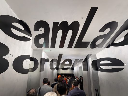 teamLab Borderless: MORI Building DIGITAL ART MUSEUM by null