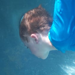 Swim Like a Fish LA - 4 yr old learned to swim 4 wks ago and now he can swim the length of his and dive to the bottom to retrieve toys.