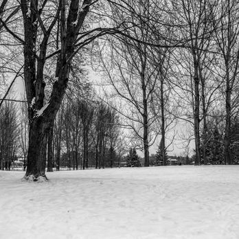 David Bartlett Park - Early morning winter day David Bartlett Park - Dog Parks Near Me - Ottawa, Ontario David Bartlett Park - Early morning winter day David Bartlett Park - Dog Parks Near Me - Ottawa, Ontario
