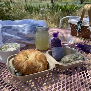Life Under The Oaks Lavender Farm - Farms Near Me - Oracle, Arizona Life Under The Oaks Lavender Farm - Farms Near Me - Oracle, Arizona