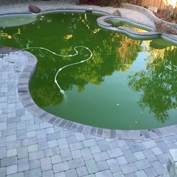 Affordable Pool Care - This is a new customer that we started servicing in late April 2015. - Pool Cleaners Near Me - Los Altos, California