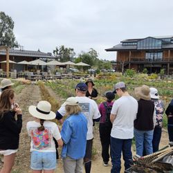 Fox Point Farms - Herb garden sensory tour