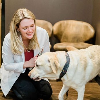 Good Dog Veterinary Care - Veterinarians Near Me - Marietta, Georgia Good Dog Veterinary Care - Veterinarians Near Me - Marietta, Georgia