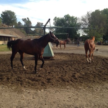 Down River Ranch - Horse Boarding Near Me - Riverside, California