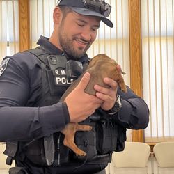 Barbara J Riley Community and Senior Center - Even the strongest man can't resist a cute puppy!