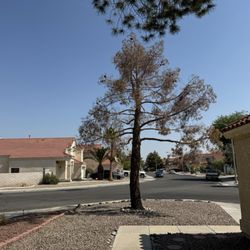 A-Z Landscaping - Before work was started.
