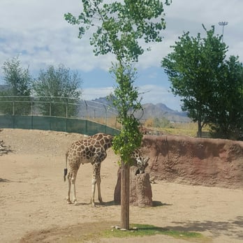 El Paso Zoo - Aquariums Near Me - El Paso, Texas El Paso Zoo - Aquariums Near Me - El Paso, Texas