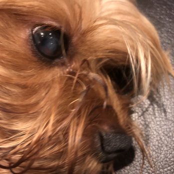 Banfield Pet Hospital - Veterinarians Near Me - Edison, New Jersey