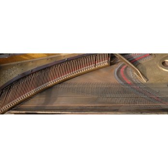 Petrichs Piano Shop - Piano Services Near Me - Freeland, Washington Petrichs Piano Shop - Piano Services Near Me - Freeland, Washington