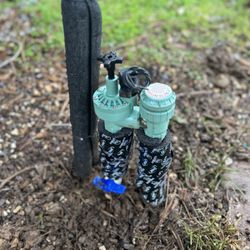 DDL Home Improvement