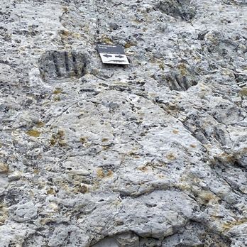 Dinosaur Ridge - Museums Near Me - Morrison, Colorado