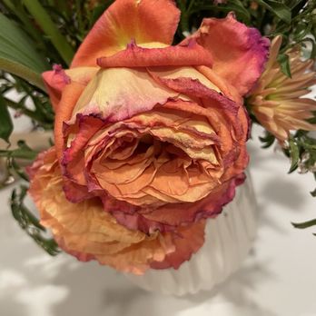 Native Poppy - 4 days after arrangement - Florists Near Me - Solana Beach, California Native Poppy - 4 days after arrangement - Florists Near Me - Solana Beach, California