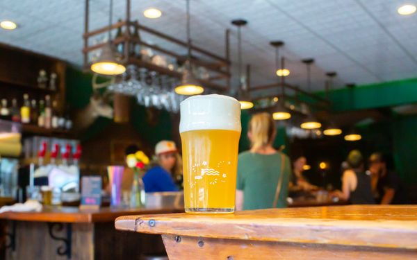 Emerald Mallard by null