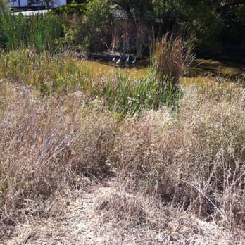 Shollenberger Park - Spot the egrets? Shhhhh - Parks Near Me - Petaluma, California Shollenberger Park - Spot the egrets? Shhhhh - Parks Near Me - Petaluma, California