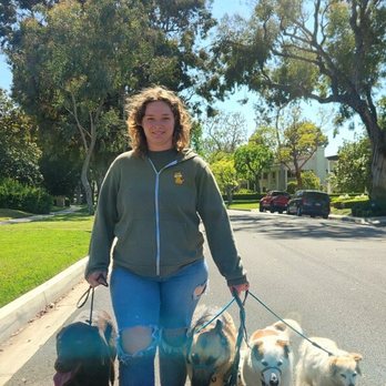 Zenni Dogs - Pet Training Near Me