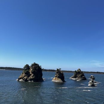 Oregon Coast Scenic Railroad - Tours Near Me - Garibaldi, Oregon