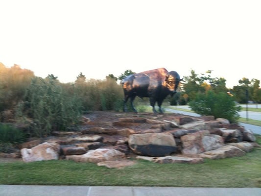 Sam Noble Oklahoma Museum of Natural History by null