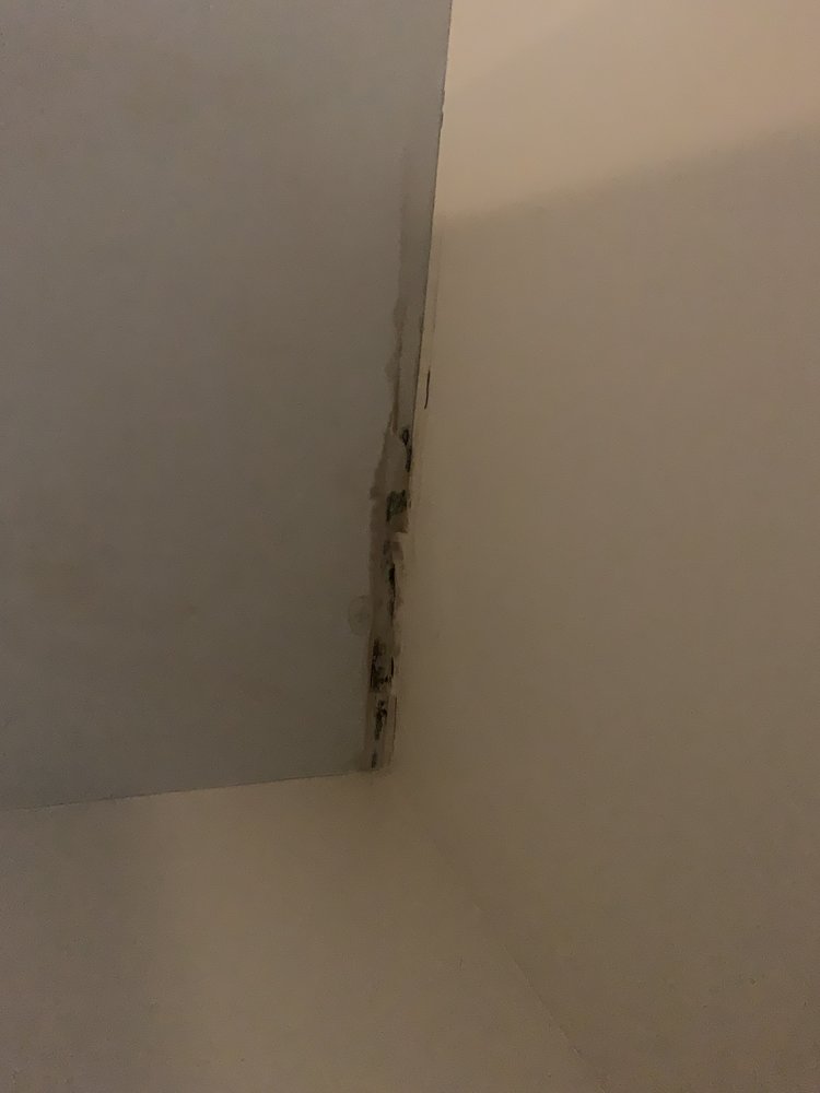 Slide of Eagle’s Speedy Construction