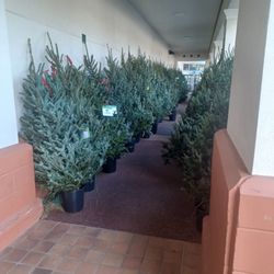 Publix Super Markets