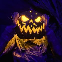Emerald Forest Christmas Trees & Great Pumpkin Patch - Thank Tip GG L