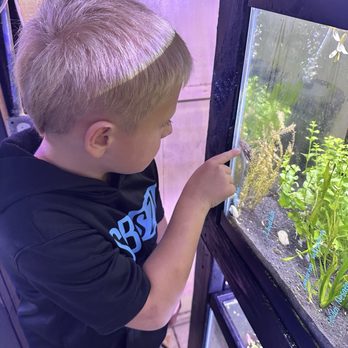 Fish Paradise - Axolotl - Pet Services Near Me - Fort Worth, Texas