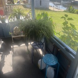 Robbins Nursery
