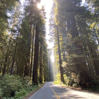 Prairie Creek Redwoods State Park - Newton B. Drury Scenic Parkway - Parks Near Me - Orick, California Prairie Creek Redwoods State Park - Newton B. Drury Scenic Parkway - Parks Near Me - Orick, California