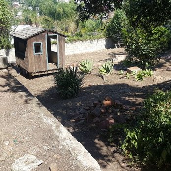 Moy's Landscaping - After weeds remove and clean - Tree Services Near Me Moy's Landscaping - After weeds remove and clean - Tree Services Near Me