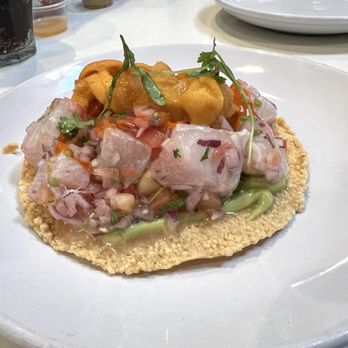Holbox - Tostada - Latin American Near Me - Los Angeles, California Holbox - Tostada - Latin American Near Me - Los Angeles, California