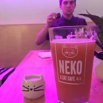 NEKO: A Cat Cafe - Themed Cafes Near Me - Seattle, Washington NEKO: A Cat Cafe - Themed Cafes Near Me - Seattle, Washington
