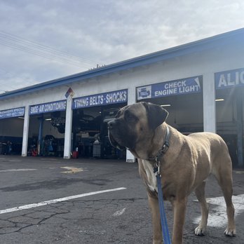 Family Auto Service - Harvey at Family Auto Service - Auto Repair Near Me - La Jolla, California Family Auto Service - Harvey at Family Auto Service - Auto Repair Near Me - La Jolla, California